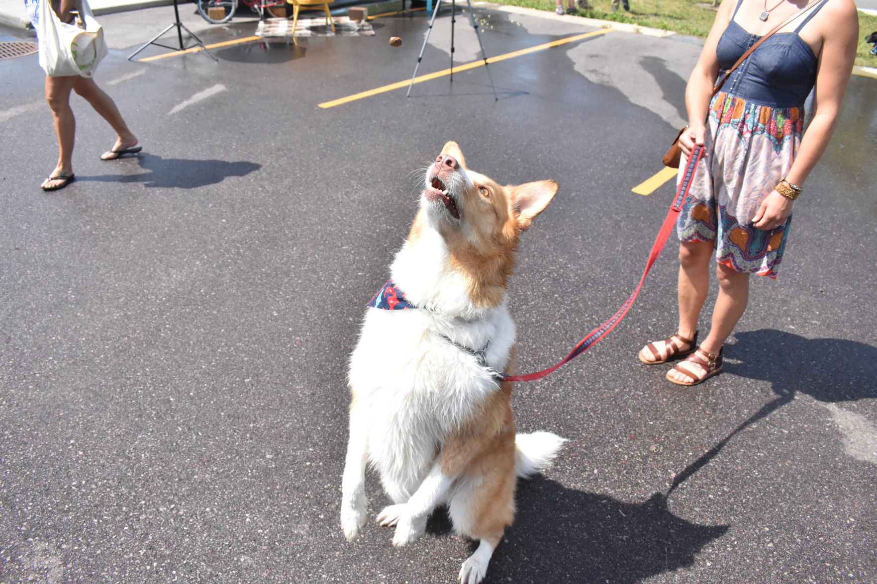 Cache catches a treat